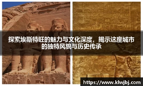 DG视讯官网