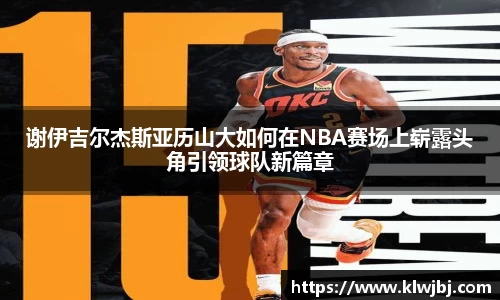 DG视讯