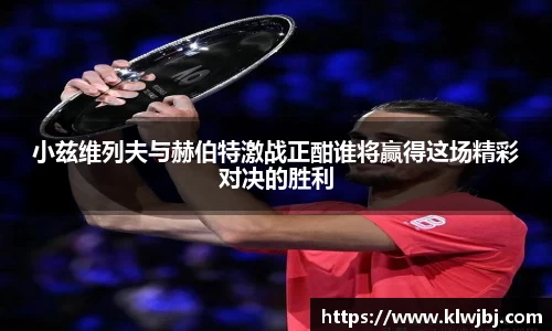 DG视讯官网